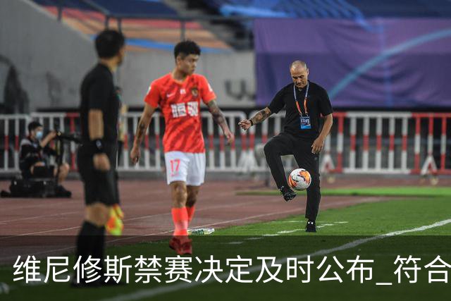 维尼修斯禁赛决定及时公布 符合规定程序